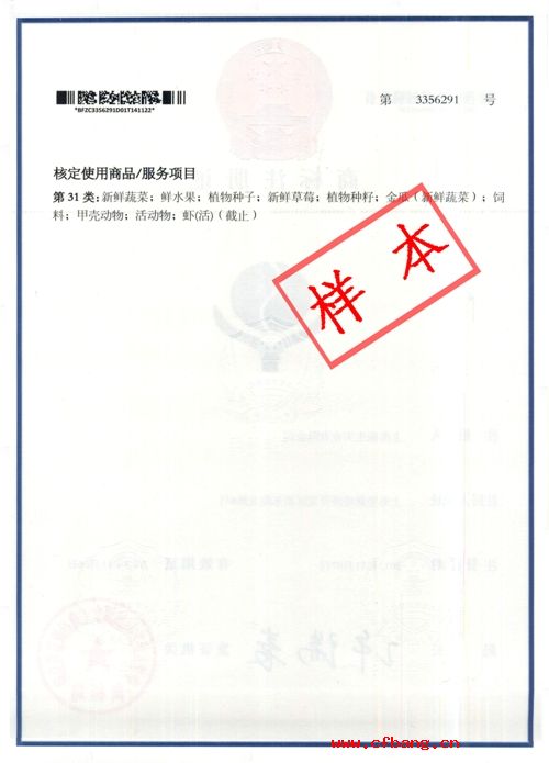 新版《商標(biāo)注冊證》樣式反面
