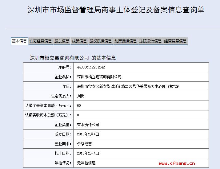 深圳市某某嘉咨詢有限公司工商網信息查詢展示