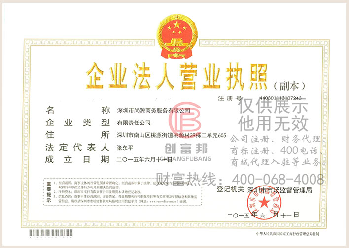 深圳市某某源商務(wù)服務(wù)有限公司營(yíng)業(yè)執(zhí)照展示