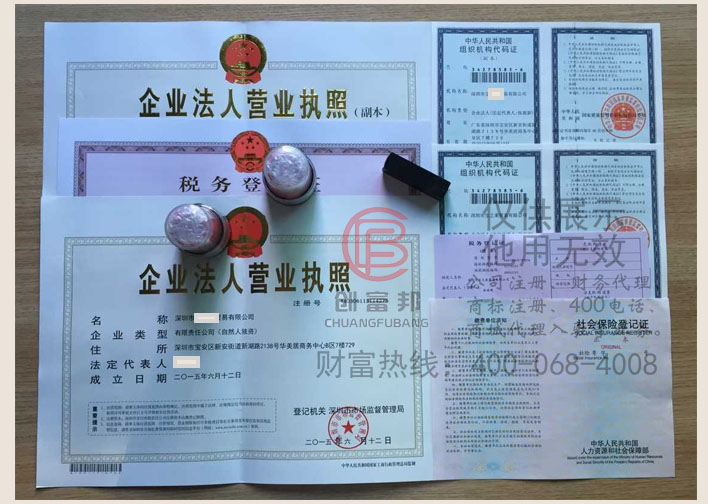 深圳市某之萊貿易有限公司證件展示