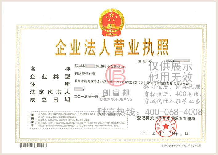 深圳市某網絡科技有限公司營業執照展示