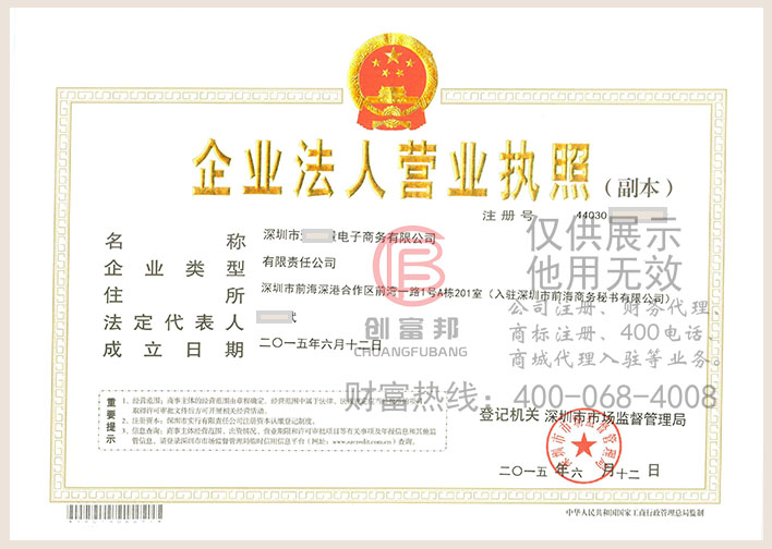 深圳市某電子商務有限公司營業執照展示